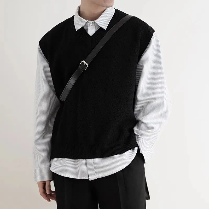 2024 Vroege Herfst Eenvoudige  - Men'S Fashion V Neck Sweater recensie en prijs